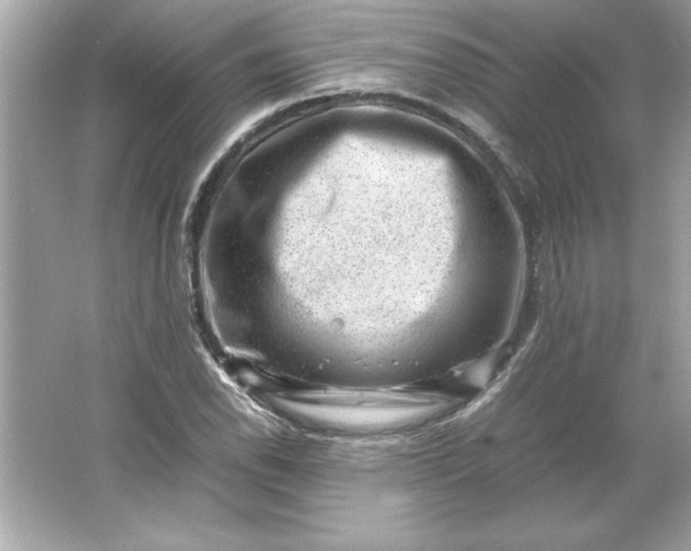 X0000066021118200603171525