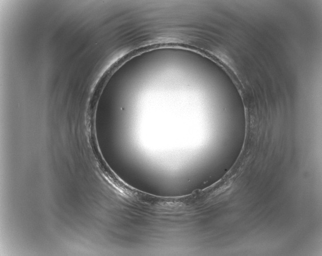 X0000066021119200603171525