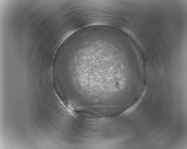 X0000066021121200603171525