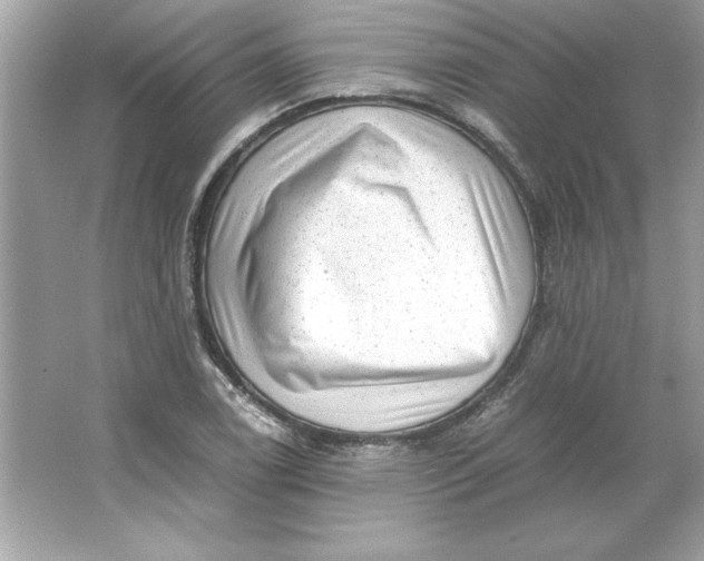 X0000066021122200603171525