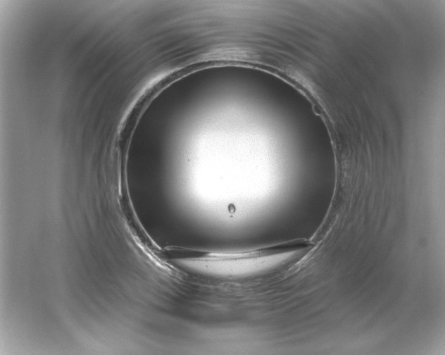 X0000066021123200603171525