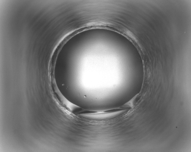 X0000066021124200603171525