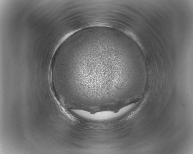 X0000066021125200603171525