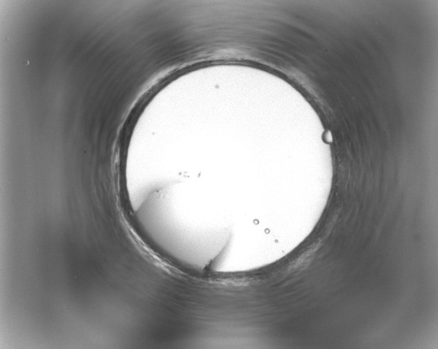 X0000066021126200603171525