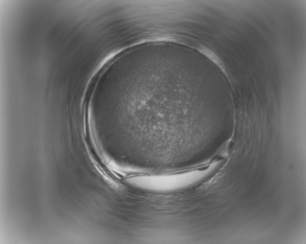 X0000066021127200603171525