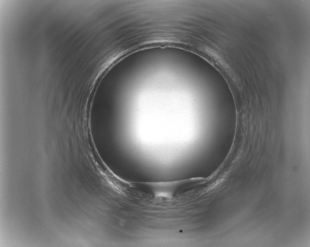 X0000066021129200603171525