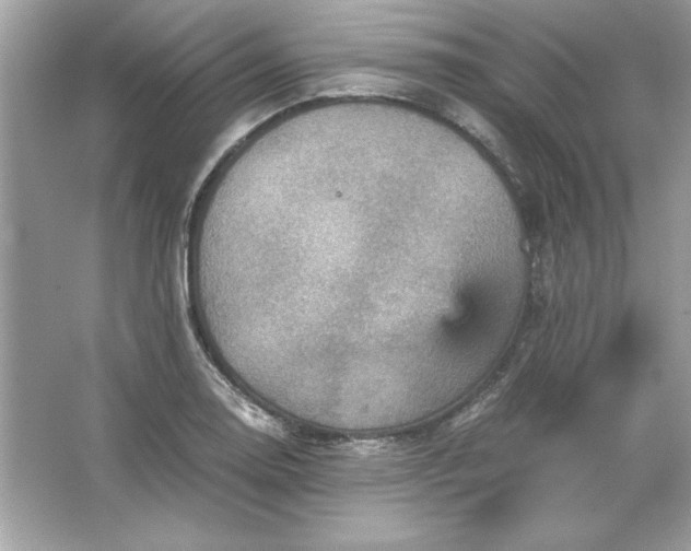 X0000066021130200603171525