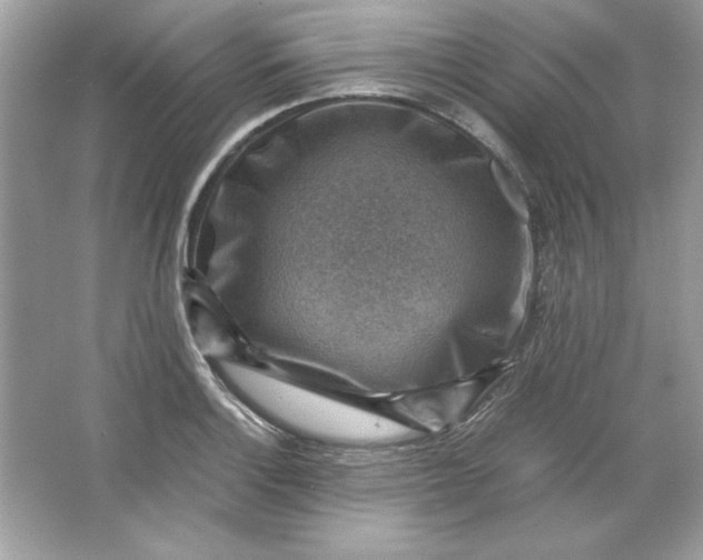 X0000066021132200603171525