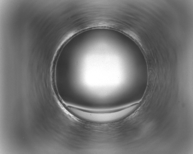 X0000066021135200603171525