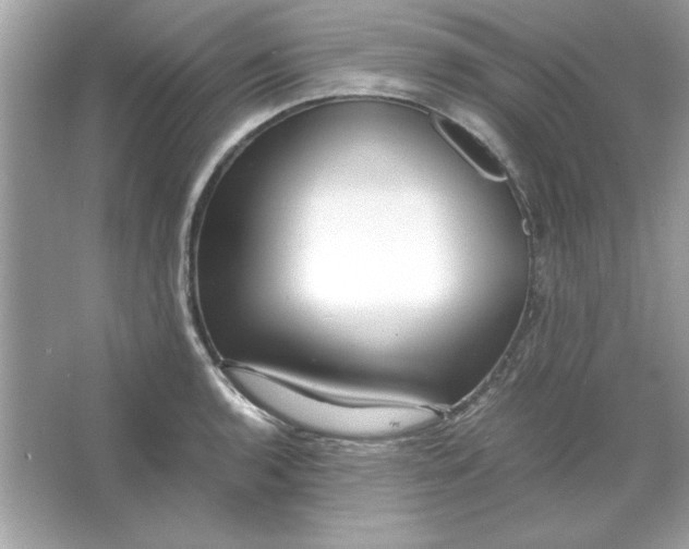 X0000066021136200603171525