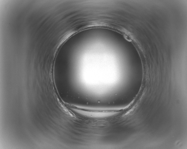 X0000066021137200603171525