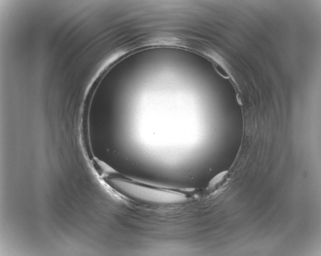 X0000066021139200603171525