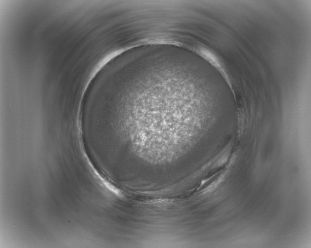 X0000066021141200603171525