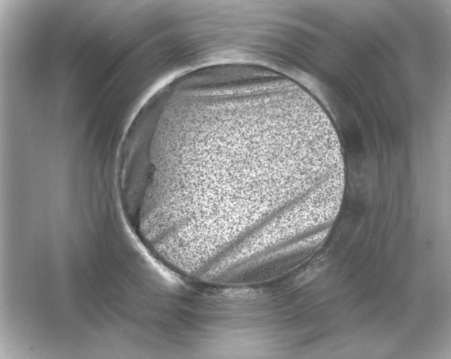 X0000066021142200603171525