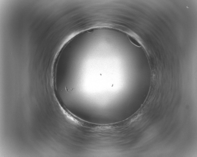 X0000066021143200603171525