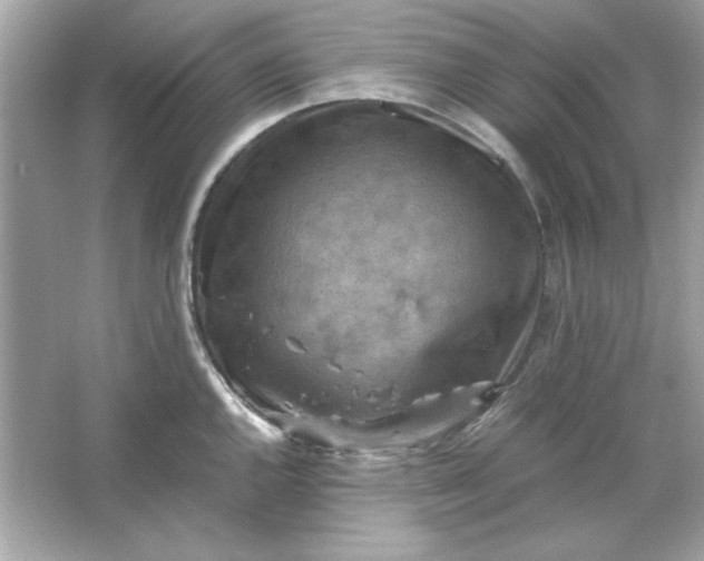 X0000066021144200603171525