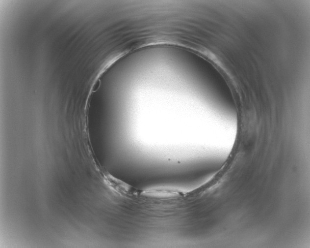 X0000066021145200603171525