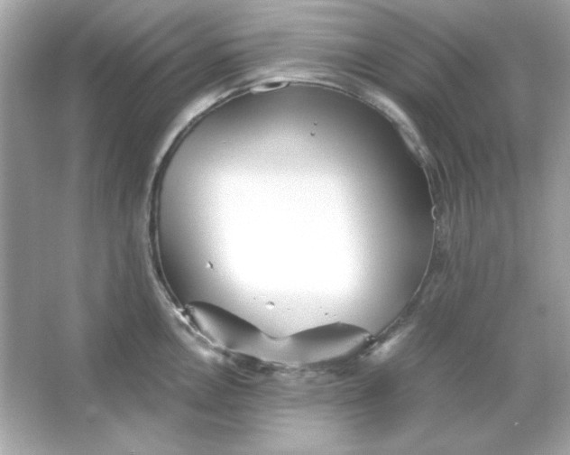 X0000066021146200603171525