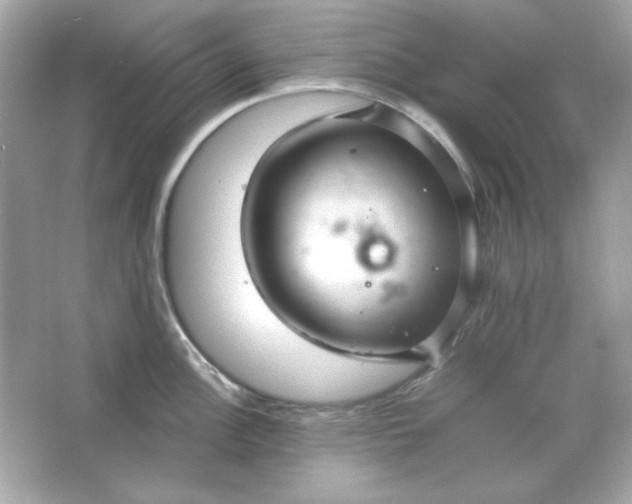 X0000066021148200603171525