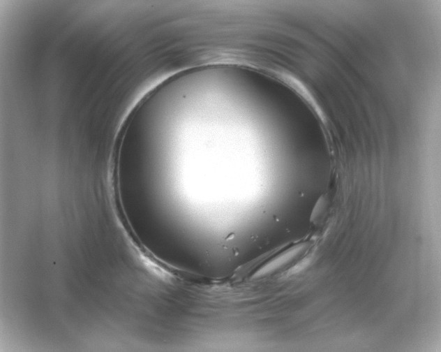 X0000066021149200603171525