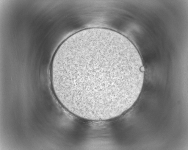 X0000066021150200603171525