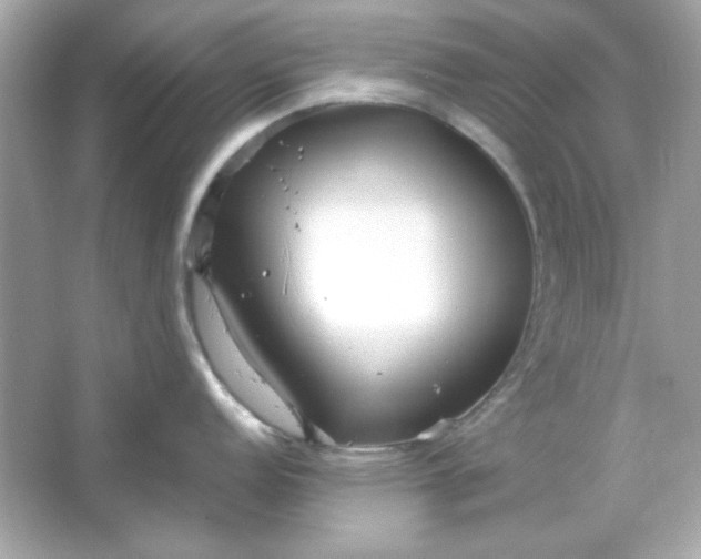 X0000066021152200603171525