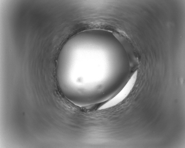 X0000066021153200603171524