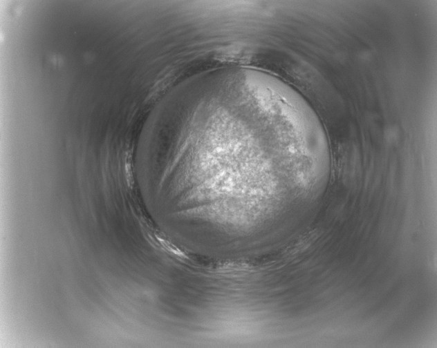 X0000066021154200603171524