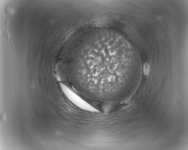 X0000066021155200603171524