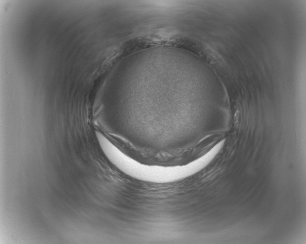 X0000066021156200603171524