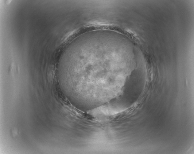 X0000066021157200603171524