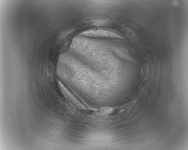 X0000066021158200603171524