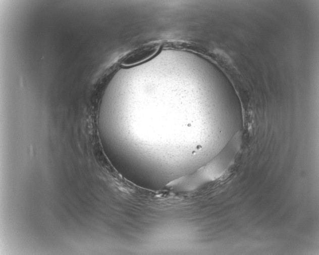 X0000066021159200603171524