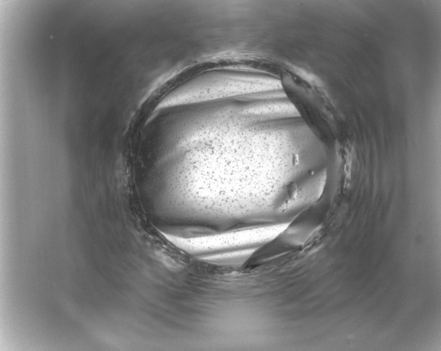 X0000066021160200603171524