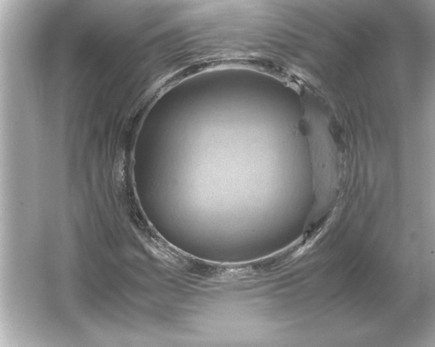 X0000066021161200603171524