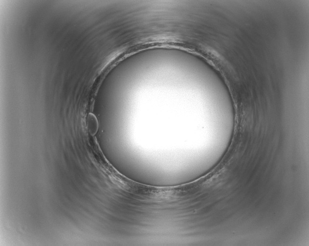 X0000066021162200603171524