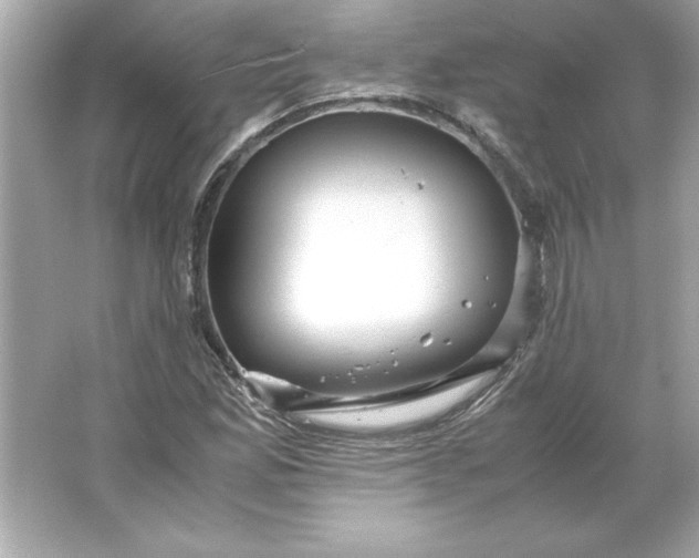 X0000066021165200603171524