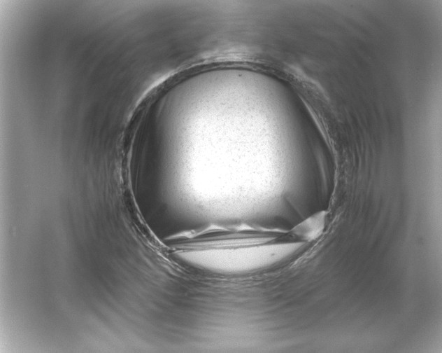 X0000066021166200603171524