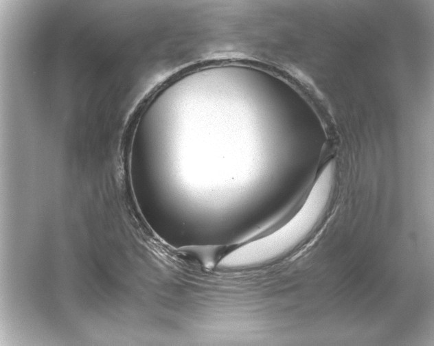 X0000066021167200603171524