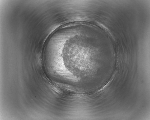 X0000066021170200603171524