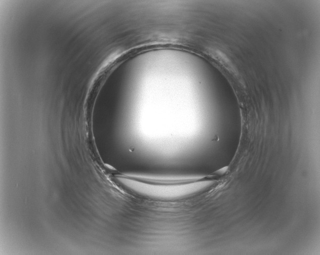 X0000066021172200603171524