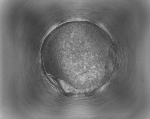 X0000066021173200603171524