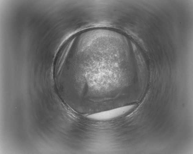 X0000066021174200603171524