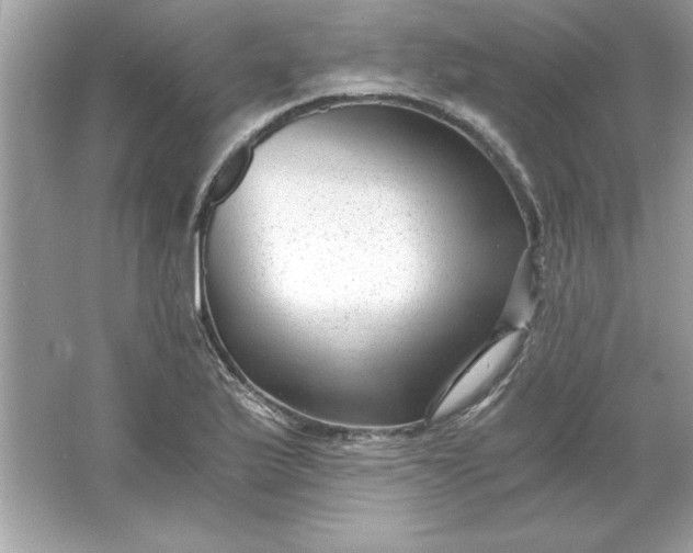 X0000066021175200603171524