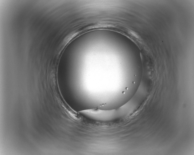 X0000066021177200603171524