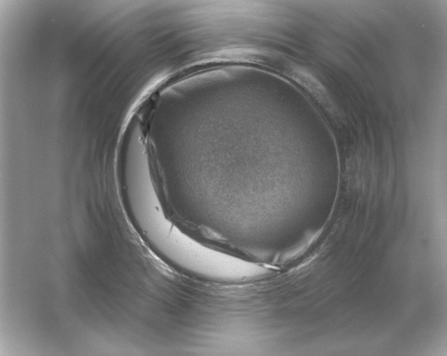 X0000066021180200603171524