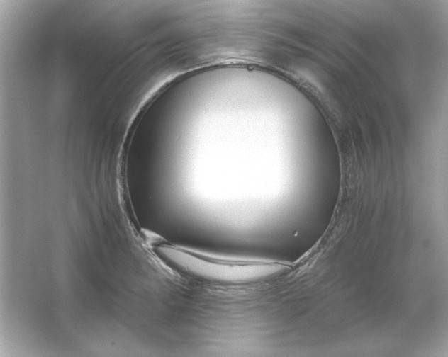 X0000066021182200603171524