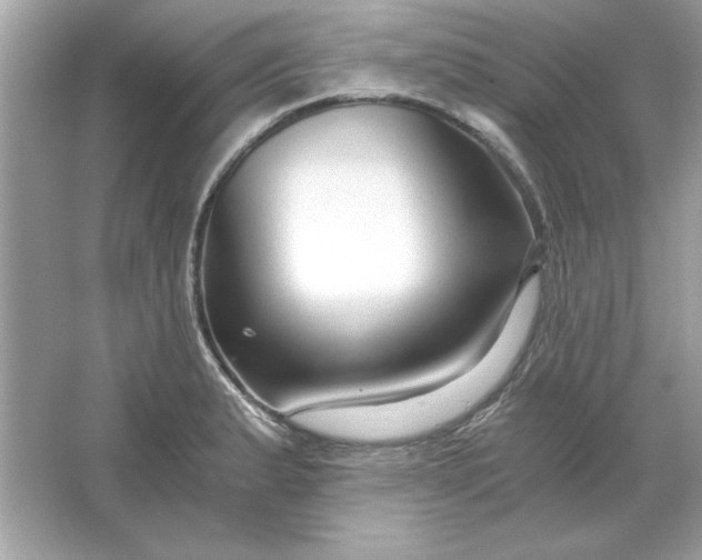 X0000066021183200603171524