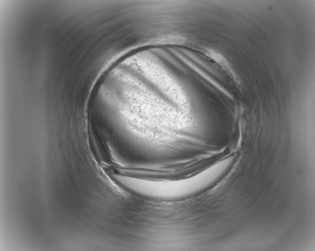 X0000066021184200603171524