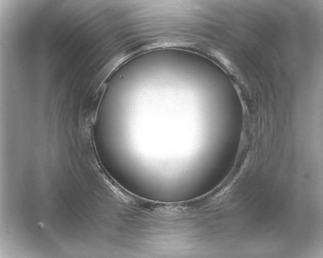 X0000066021185200603171524